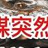 為何黨媒突然砲轟川普和馬斯克 習近平另類紓解國內政治壓力的方式 快速移民 川普金卡 橫空出世 500萬交給誰 怎麼用