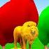 5 Giant Duck Cartoon Cow Elephant Tiger Lion Gorilla Paint Wild Animals Crossing Fountain Animation