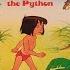 Mowgli And Kaa The Python 1981