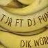 TJR Dik Work Feat DJ Funk Official Full Stream