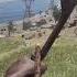 Самый дальний выстрел с лука Rust