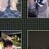 Rasya Naura Gibran Adara Irsyad Violet Kevin Jeni