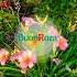 Лилейник Саммер Вайн в ландшафте питомника Buonroza Flowers цветы Nature Gardening сад дача