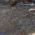 Omg No No It S A Giant Amazing Rhodisland Bantam Funnyvideo Ytshortvid Buhayilangmixtv