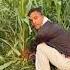 Pura Dekho Shorts Lbfun