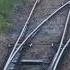 Automatic Track Change Shorts