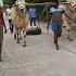 MKR BULLS BAPATLA PRACTICE DOING Trendingshorts