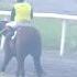 2025 Apr 13 R06 SHE S ROYAL 5 1 28 2