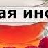 21 дневное голодание по Оганян Пошаговая инструкция Личный опыт