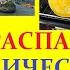 TEMU РАСПАКОВКА БОМБИЧЕСКИЕ ТОВАРЫ ПО АКЦИИ КЛАССНЫЕ ТОВАРЫ ДЛЯ КУХНИ