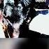 Slipknot Metabolic LYRICS VIDEO