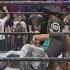 WWE 2k24 2 Outta 3 Falls Crippler Busta Fyp Wwe2k24 Wwecaw Extreme Brainbuster