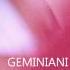 Geminiani Concerto Grosso Op 3 No 5 Warchal