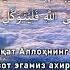 Тавба сураси 51 оят