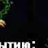 Terraria Тыквенная Луна за Мага Pumpkin Moon