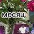 я по мнению лп