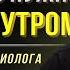 Распорядок дня нейробиолога Делай это каждый день и увидишь невероятные изменения