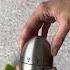 Jayron JR WG015 Egg Kitchen Timer Stainless Steel 60 Minute Countdown Timer