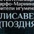 МЕШАЮТ ЛИ ГАДЖЕТЫ СПАСЕНИЮ ПАРСУНА ИГУМЕНИИ ЕЛИСАВЕТЫ ПОЗДНЯКОВОЙ