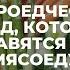 5 сыроедческих блюд которые понравятся даже мясоеду