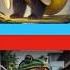 Bobrito Bandito Or Italian Animals Memes Funny