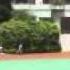 Hua Yang IR Speed Dome Camera