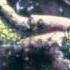 Mortal Kombat Annihilation Theme