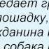 Слова песни Детские песни Собака бывает кусачей