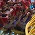 Stardust Racers Review The BEST Dueling Coaster Ever Built Epic Universe New For 2025 In Orlando