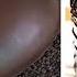 Fancy Rainbow Chocolate Cake Decorating Ideas Chocolate Cake Hacks So Yummy Cake 3