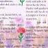 ElCredo Losgirasoles2022 Lasmariposas 21 Losgirasoles C S G A Amor Marines Marin F