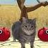Oiia Cat X Squid Game