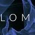 Melodic Techno Vocal Vol 13 Colyn Solomun Artbat ZHU Bog Anyma