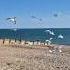 Hayling Island