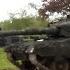 Cat Family Reunion Tiger 1 With Leopard 1 Leopard 2