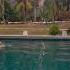 ХОЧЕШЬ ИСПРАВИТЬ ПРОНОС В ПЛАВАНИИ КРОЛЕМ Chill Music Lofi Lyrics Swimserafim Swimming