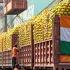 Mango Shipped To Saudi Arabia Reject Rejected Mango ShipmentIndia Vs US Mango Diplomacy By Ankit