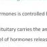 3 Etiology Of Sexually Deviant Behavior