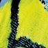 The Chicks Cold Day In July Official Audio
