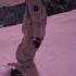 This Video From Tiktok Https Vt Tiktok Com ZSh7Ln7oA