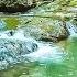 Majestic Forest Sounds Pleasant Birds Chirping Peaceful Stream In The Mountains Pleases The Soul