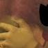 Timon And Pumbaa Interrupt 2 Shrek II The Story Continues