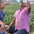 Pani Mein Kya Milaya Funnyvideo Emotional Emotional Video Tiktok