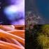 Coral Reefs 101 National Geographic