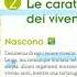 L Organizzazione Dei Viventi Lezione Di Scienze