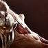 Dota 2 Hero Combo Guide 32 Lifestealer Special