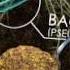 The Living Soil How Unseen Microbes Affect The Food We Eat 360 Video