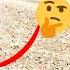 Parisa S Change In Behavior Is She Following A New Plan