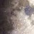 The Moon Gives Me Euphoria Fyp Moon Euphoria Copernicus Foryou Shorts