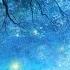 2 Hours Of Peaceful Relaxing Nature Instrumental Music By Tim Janis